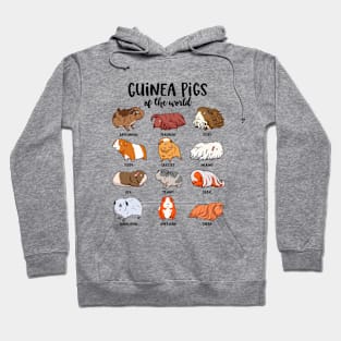 Guinea pigs of the world - Various kawaii guinea pigs Hoodie